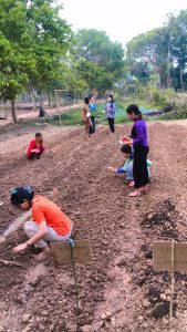 យើងដាំបន្លែនៅសួនច្បារនៅថ្ងៃអាទិត្យ។