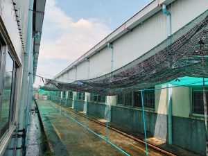 ការរៀបចំប្រព័ន្ធទឹក ធ្វើអោយមានសំនើមនិងកាត់បន្ថយកំដៅក្នុងរោងចក្រ