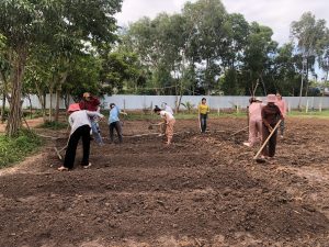សកម្មភាពលើករងបន្លែថ្មីបន្ថែមទៀត របស់បុគ្គលិកដែលស្នាក់នៅអគាររបស់NLG🌱🌱🌱