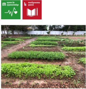 បន្លែដែលដាំដុះដោយបុគ្គលិកស្នាក់នៅអាគារ NLG